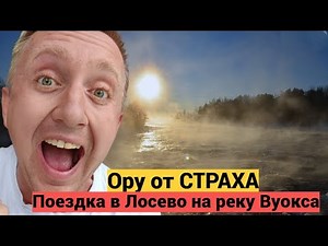 One day in the life of St. Petersburg: a trip to Losevo on the Vuoksa River.