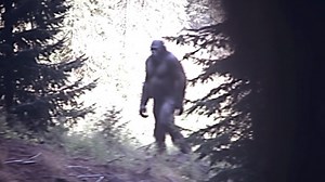 641K views · 17K reactions | Terrifying Bigfoot Encounters That Went Viral | Most Amazing Top 10 | Facebook