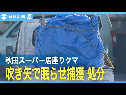 秋田スーパーのクマ 吹き矢で眠らせ 捕獲し処分