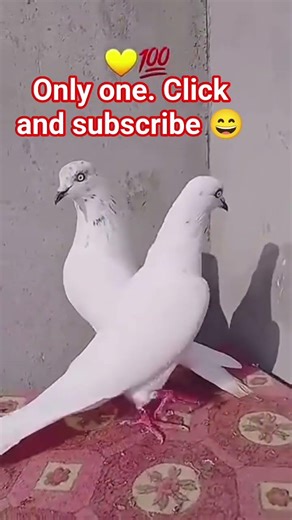 I'm back. please subscribe my YouTube channel