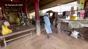 Bird flu has killed more than 200 million birds in the past year. Global health officials have said the risk of transmission between humans is still low. Here’s what you need to know about the current outbreak of H5N1 https://reut.rs/3FJebnR | Reuters