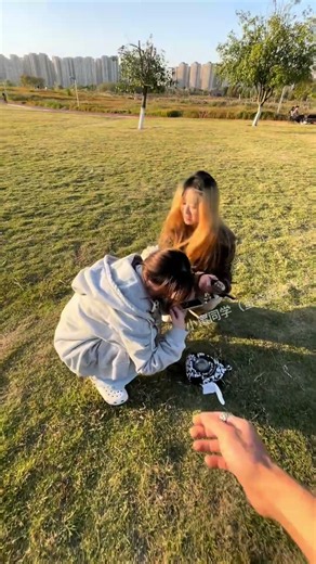 你看来不是个省油的鼠！#蜜袋鼯小飞鼠#会飞的宠物