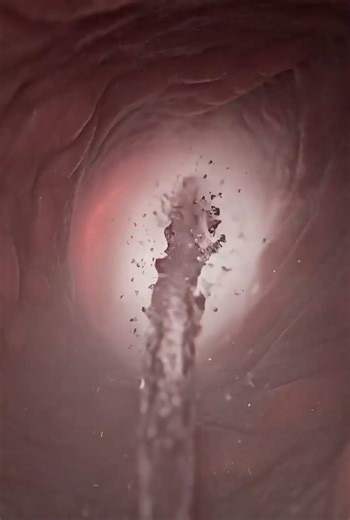 Understanding Vaginal Anatomy: A Medical Overview 🏥🩺