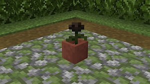 Wie bekommt man eine Witherrose in Minecraft?