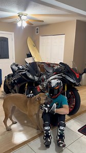 She’s always ready to film 😂 #dogs #bikerboysofinstagram #dogsofinstagram #motorcycle #bikerlife #doglife #aprilia #rsv4 #adorable #cute #bikerboy #bikerdog #readytogo | Rusewheels