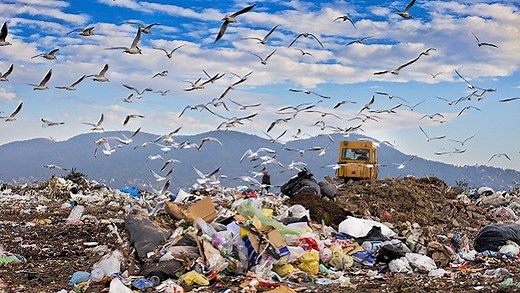 Fashion waste: this is how long it takes your clothes to decompose | News24