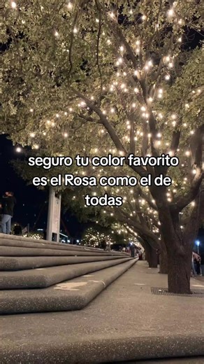 Colores favoritos: Azul y Negro