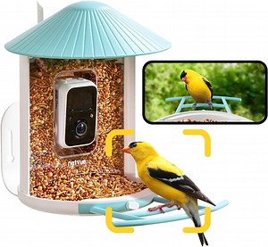 NETVUE Birdfy®Smart Bird Feeder with Camera | Lifetime AI Accurately Identify 6000 Bird Species | 1080p FHD Outdoor Bird Watching Camera | Gift for Parents and Bird Lover | Blue