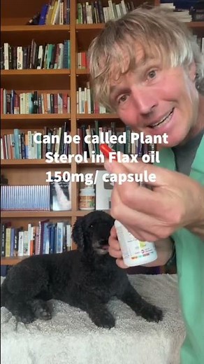 Apoquel Alternative for Dog Itching with Allergies!