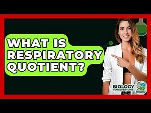 What Is Respiratory Quotient? - Biology For Everyone