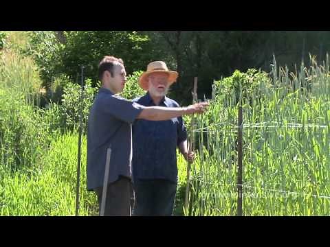 Session 8 Part A: GROW BIOINTENSIVE: A Beginner's Guide -- Choosing Your Crops