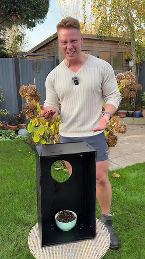 Bush Tucker Trial: Family Fun in the Garden