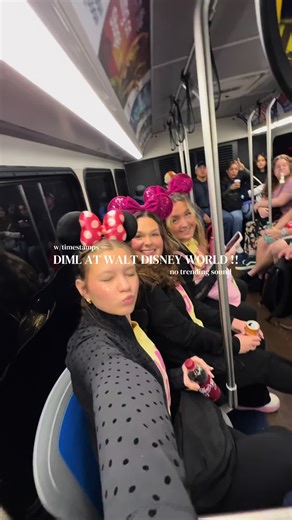 ASMR Experience at Disney Parks: A Magical Journey