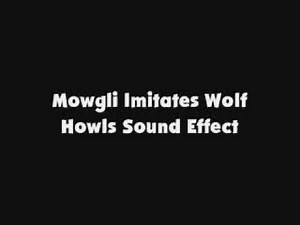 Mowgli Imitates Wolf Howls SFX