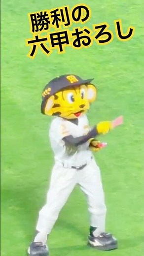 #RokkoOroshi #Torakki #hanshintigers #HanshinTigers #Koshien #Kiita #Lucky