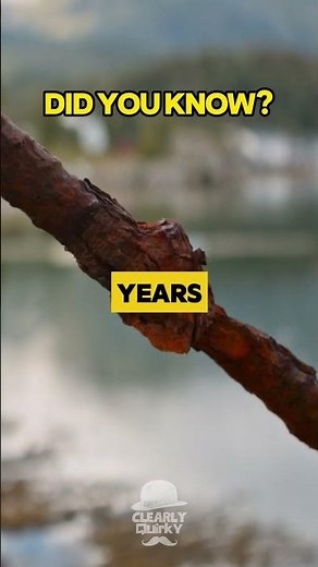 Did you know Italy’s Morandi Bridge collapse killed 43 — in seconds?