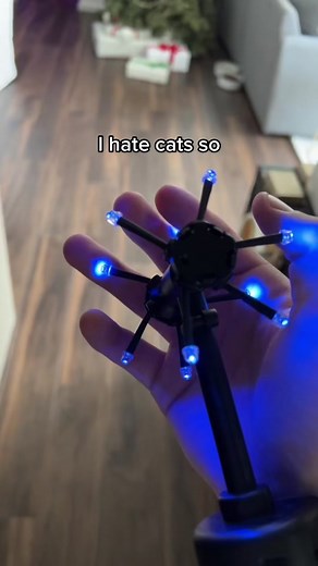 Had to Rasengan the cat real quick
