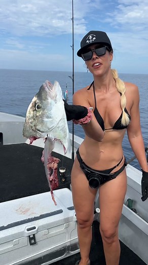 Went fishing for dinner, gave dinner to the taxman #fishing #shark