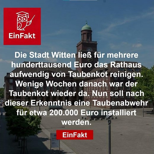 Teurer Taubendreck in Witten | Steuergelder im Sinkflug | EinFakt