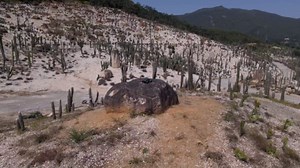 Amazon.com: HAIBOXING 1:18 Scale All Terrain RC Car 18859, 36 KPH High Speed 4WD Electric Vehicle with 2.4 GHz Remote Control, 4X4 Waterproof Off-Road Truck with Two Rechargeable Batteries : Toys & Games