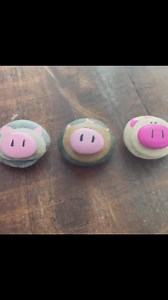 Hand Painted Pig Rock Magnets: Farmhouse Kitchen Decor - Etsy