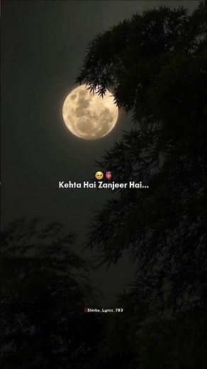 Ye Dil Deewana Lyrics | Dil Kaisa Be Peer Hai | Pardes | Sonu Nigam | SRK 🎵