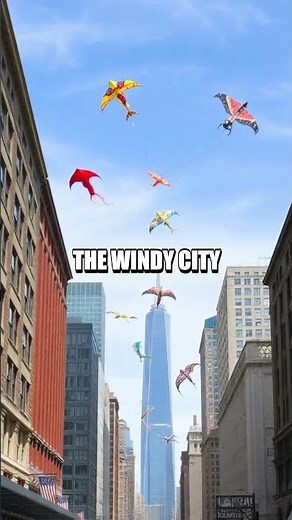 The Unique Charm of Chicago Slang