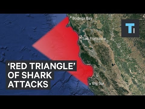 The 'Red Triangle' off the California coast is known for great white shark attacks