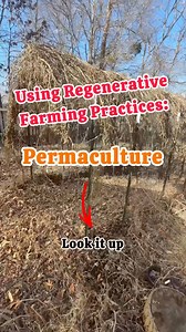 Some things just make sense!!💯💯Regenerative farming practices like permaculture 🌱🌲🍁🌿🍃allow you to mimic nature and the amazing ecosystems that thrive without interruption from humans!! Well… not much interruption from humans!!😬🤣😎⁣.⁣.⁣.⁣.⁣.⁣#farmtotable #regenerativeagriculture #regenerative #growyourown #farmlife #organicproduce #soilhealth #growyourownfood #restoration #sustainablesolutions #regenerativegardening #regenerativefarming #permaculturedesign #selfsustainableliving #regener