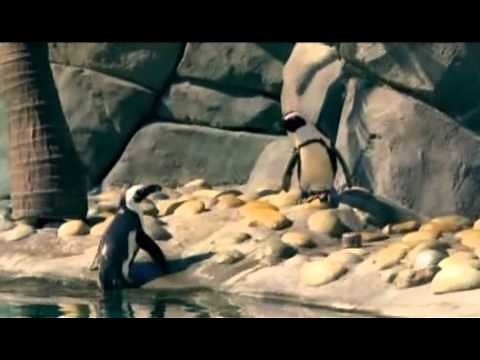 Cameron Boyce - Lunchables Commercial (2010)