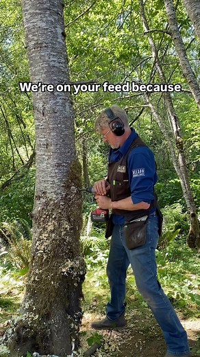 Nelson Treehouse and Supply on Instagram: "Dreaming of building your own backyard treehouse or tree fort this summer? ️Maybe a fort for the kids or a sunset deck for the you? Our lightweight Tree Fort hardware is what you need! The Tree Fort TABs are flying off our shelf so preorder yours today for an estimated ship date of May 15th!  #treehouse #treefort #fort #diy #backyard #hardware #treehousemasters #treehouselife"