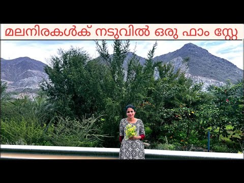 Khorfakkan Farm Stay /Sultan Farm Stay / Mountain Farm Stay