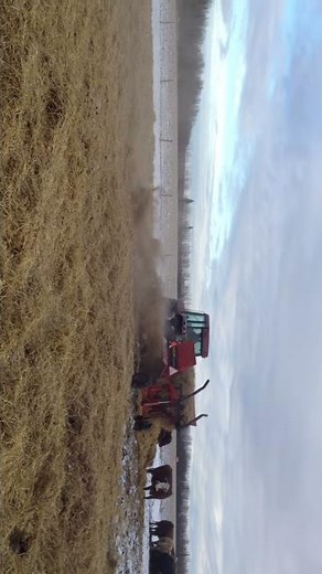 CaseIH 7120 with bale grinder