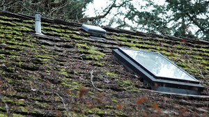 Maintaining a moss-free roof takes some effort