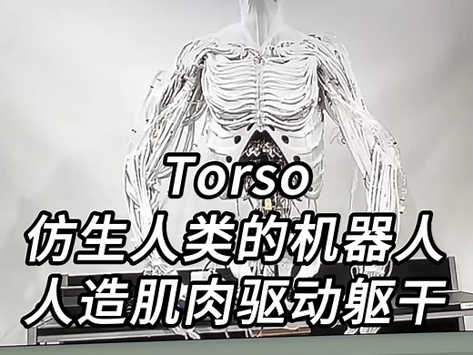仿生学的终极对象，完全仿生人类的机器人Torso，用人造肌肉驱动身体躯干，性能趋近人类，西部世界不再是科幻电影！_哔哩哔哩_bilibili