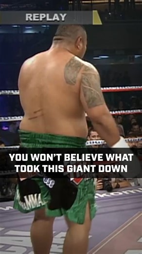 63K views · 253 reactions | You won't believe what took this giant down  | Fight Fight Fight | Facebook