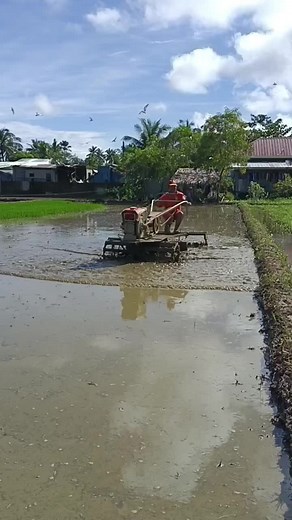 Kuliglig Hand Tractors for Rice Farming in Caraga
