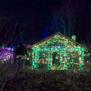 182K views · 7K reactions | The countdown begins! Get ready to be dazzled by Night Lights: Color Cascade at New England Botanic Garden! Explore a magical world of radiant, glowing lights in every color imaginable. When will you experience the mesmerizing journey? | New England Botanic Garden at Tower Hill | Facebook