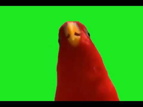 Bye Bye Meme Green Screen