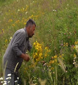 20K views · 398 reactions | Making Turkish Simit Pide✅泌 | Easy Life TV | Facebook
