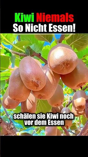 Kiwi niemals schälen! Dieser Trick verändert Immunität und Schlafqualität komplett 🥝