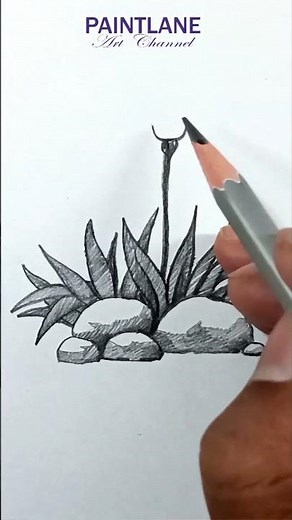 Pencil shading Flowers and Bushes and Rocks #shorts #art #pencilshading