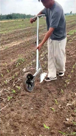 This Gardening Tool Is Pure Genius! 🤯🌱