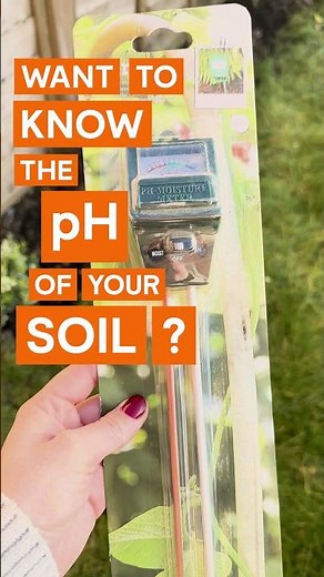 Gardening tips: How to measure soil pH #DIYtips #Howto #BandQ