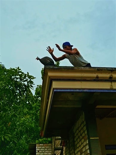 This Chicken is in the Wrong Place