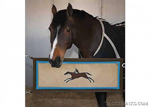 Stall Guards for Horses | Stall Gates | Stall Webbings