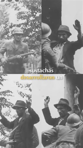 Jasenovac: Fábrica de Ladrillos y su Sistema de Asesinato #shorts