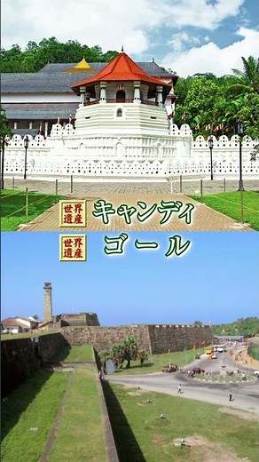 【必見】スリランカの旅のご紹介