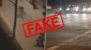 Bizarre Alien Monster Spotted in Brazil's Bahia is Fake! Here's Fact Check To Know Truth About The Creepy Viral Video | 🔎 LatestLY