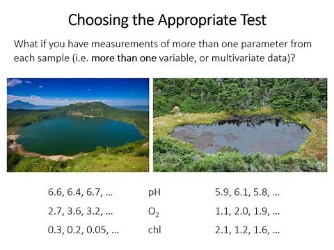 24: Hotelling T2 test